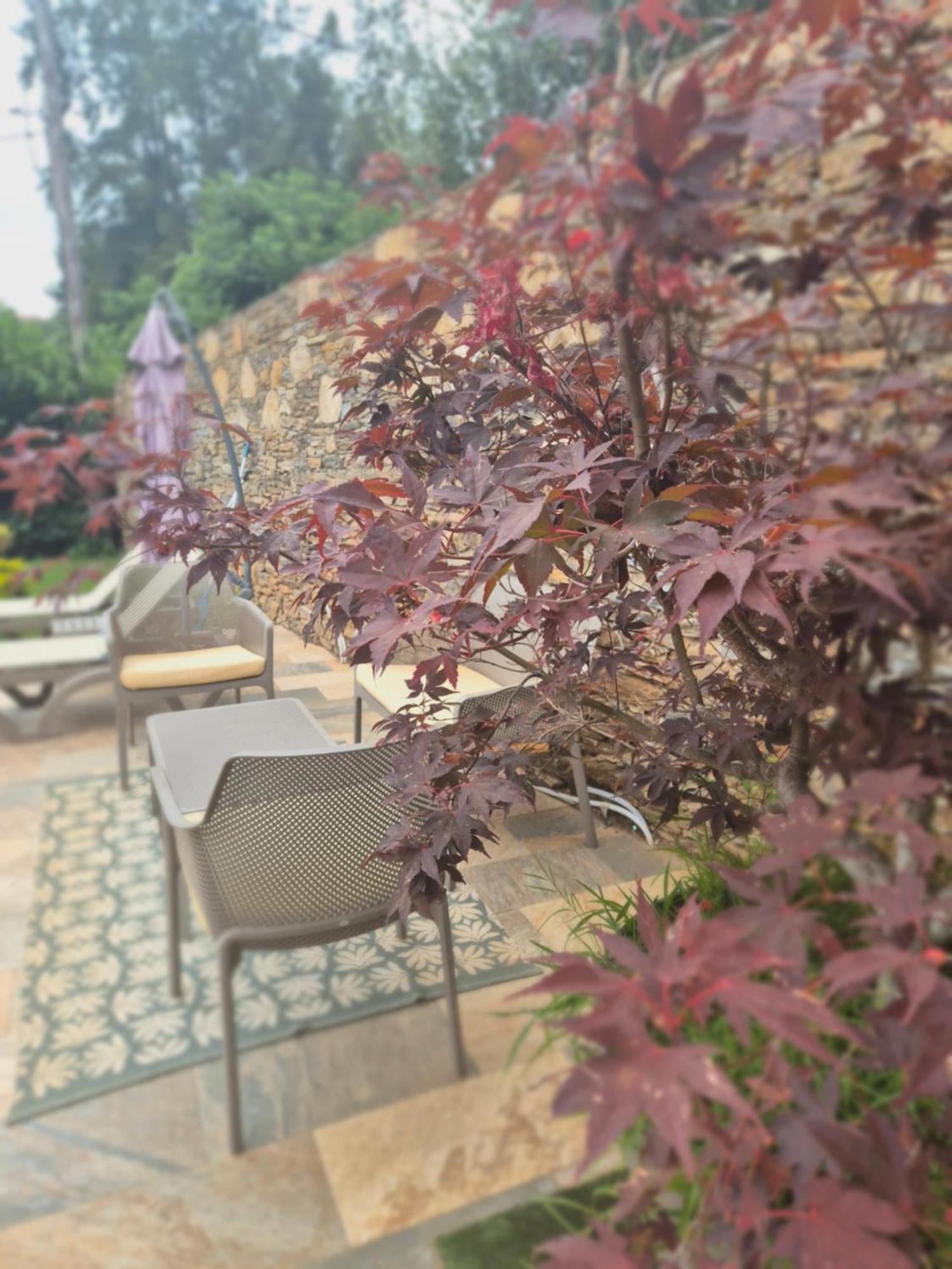 Rez de villa avec piscine, wifi, jardin clôturé Penta di Casinca Exterior foto